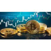 btc 州储备