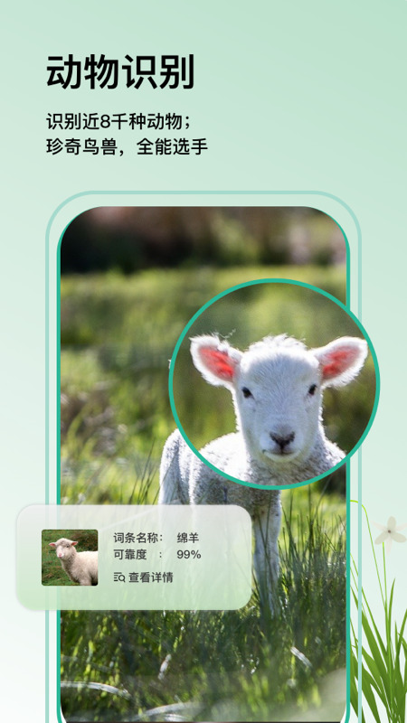 万物识图2024最新手机版下载 v1.1.1