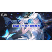 鸣潮守岸人声骸推荐