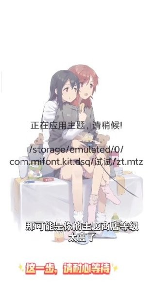 小米主题安装器pro