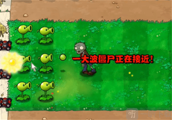 植物大战僵尸繁琐版