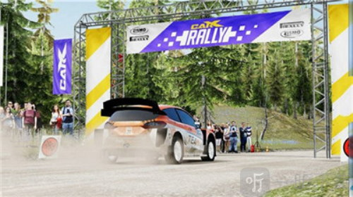 CarX Rally