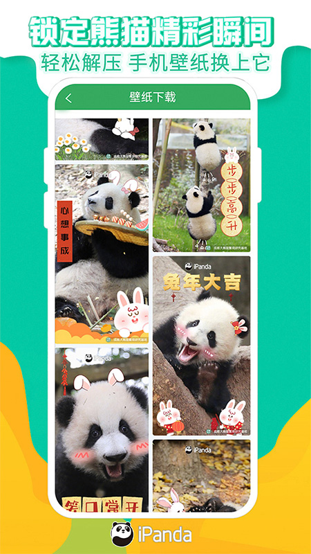 熊猫频道下载安装