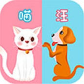 猫语交流器