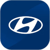 北京现代bluemembers