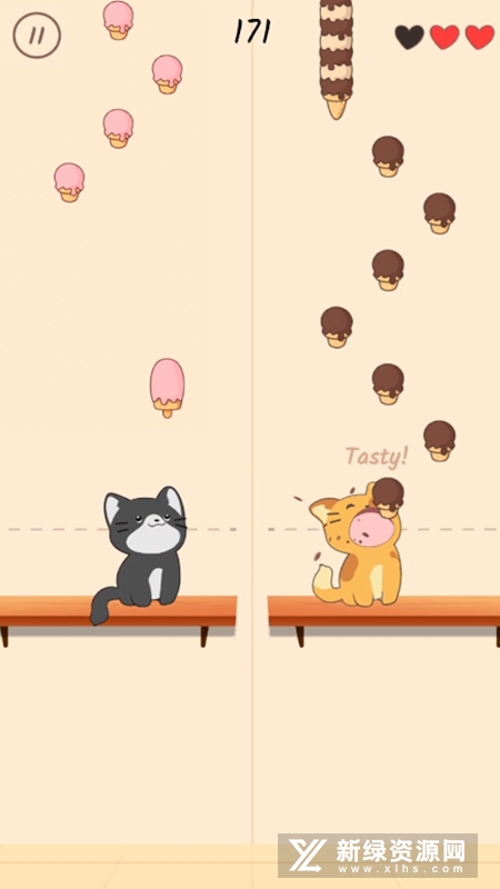 DuetCats二重唱猫