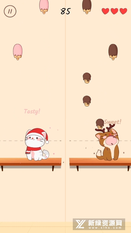 DuetCats二重唱猫