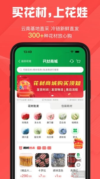 花娃鲜花
