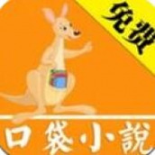 口袋小说下载安装