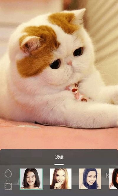 摸鱼鱼软件官方版手机2024下载最新