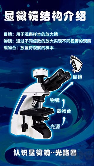 赫鲤app