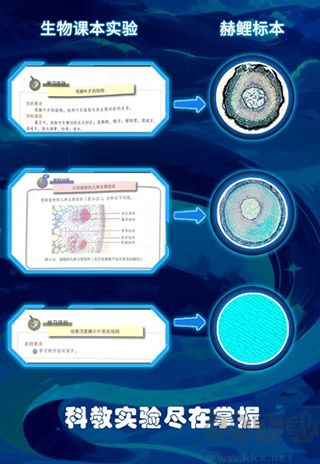 赫鲤app