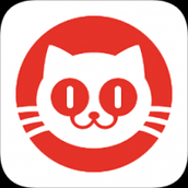 猫眼电影app下载安装
