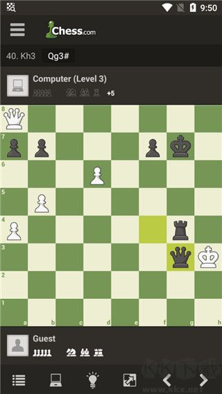 国际象棋大师