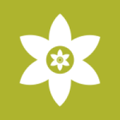 安装狮正版下载