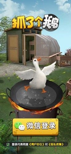 抓了个鹅