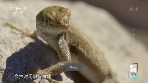 星火电视2024最新版下载
