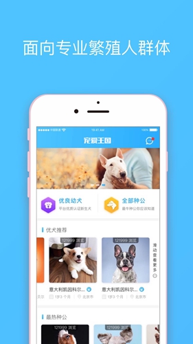 宠爱王国官网版