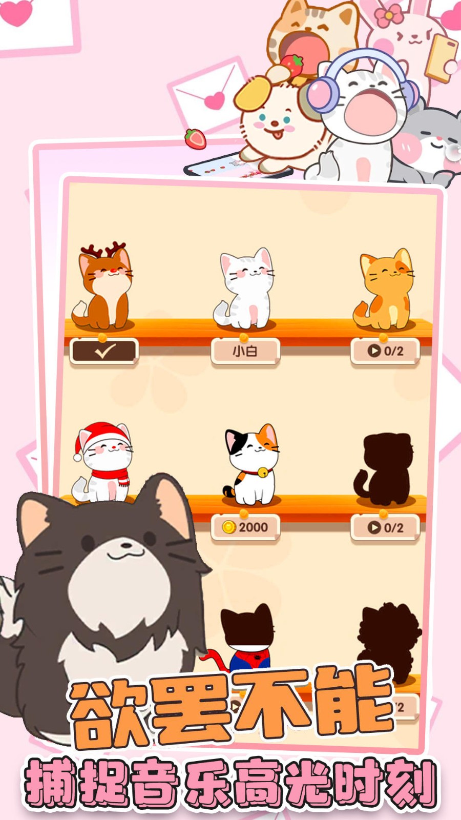 猫咪音乐双重奏下载免费