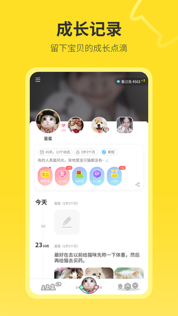 句苗岛