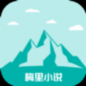 梅里小说免费版app软件