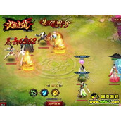 武龙争道中的宠物玩法是怎样的？