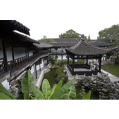 想知道《白荆回廊中林茶憩的完美配方吗？点进来揭秘 》