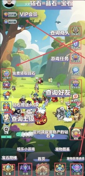 养了个宠