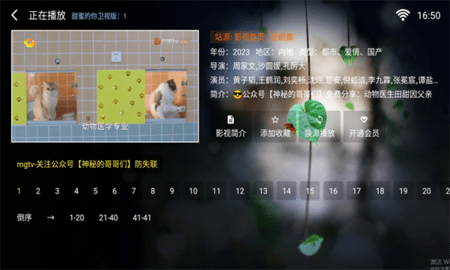 苹果影视tv版