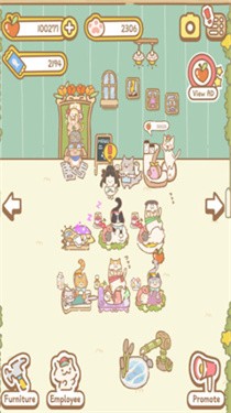猫猫的店
