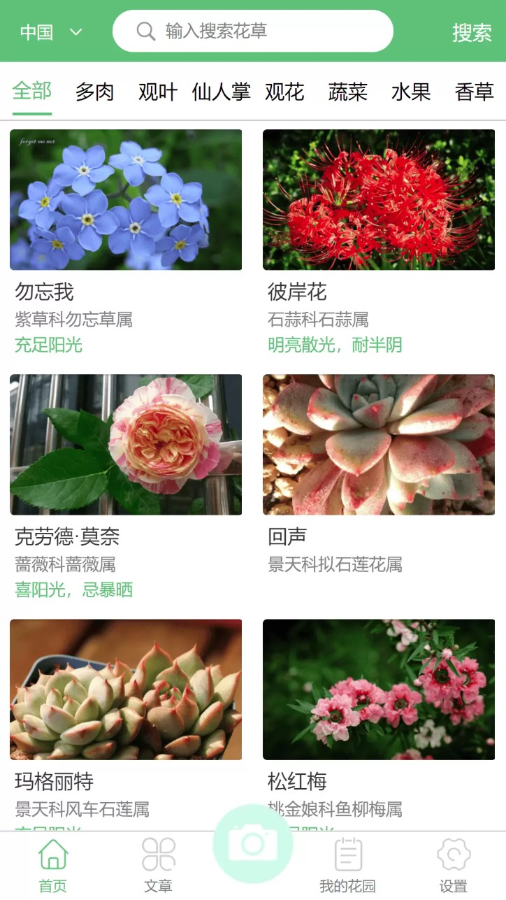 东篱花草