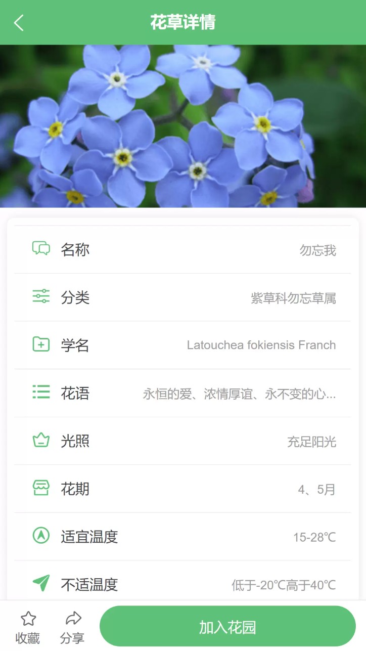 东篱花草