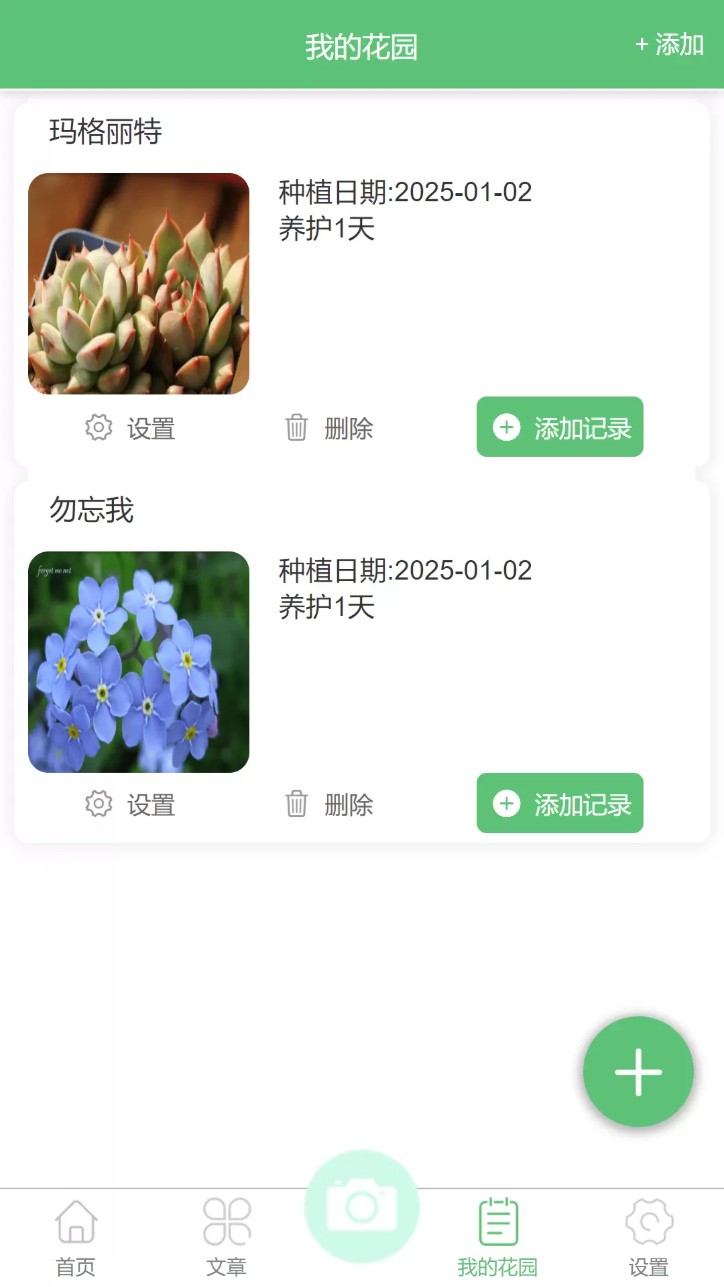 东篱花草