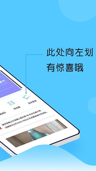 中鸽网