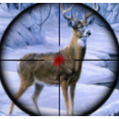 荒野猎人3d下载安装