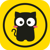 猫咪段子app手机最新版