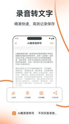 大录音师