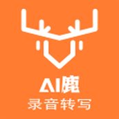 大录音师