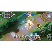 宝可梦大集结中玛力露丽有哪些打法？