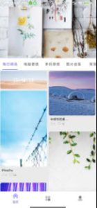 派派壁纸手机高清壁纸安卓版免费下载