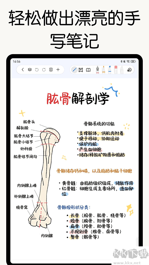 自由笔记