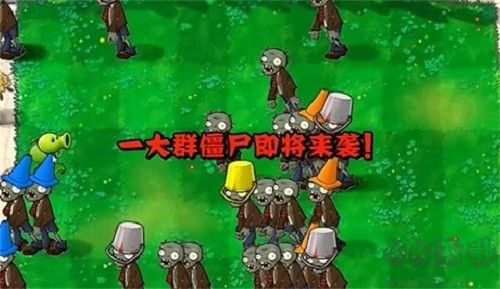 植物大战僵尸指导版