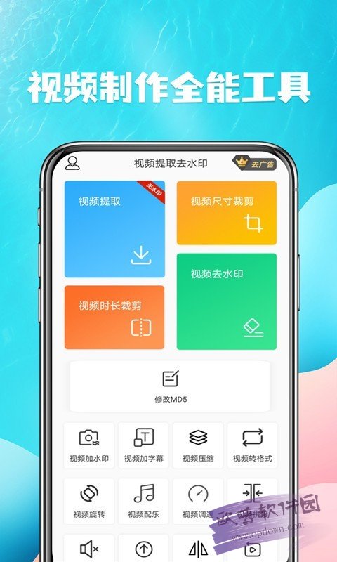 视频去水印提取