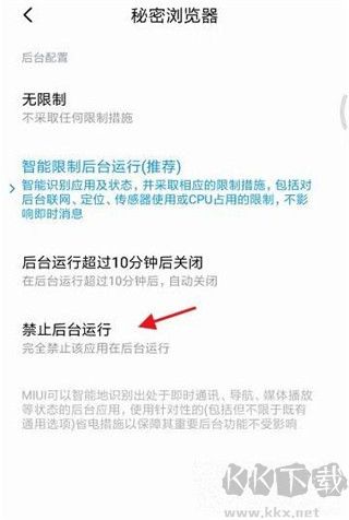 秘密浏览