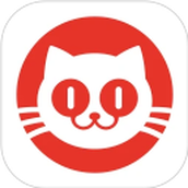 猫眼电影