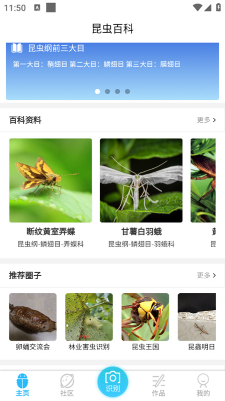 昆虫百科