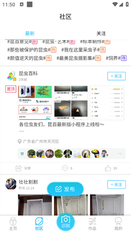 昆虫百科