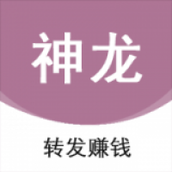 神龙资讯赚钱版