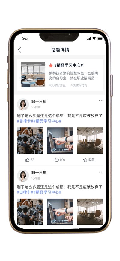 职业猫专升本