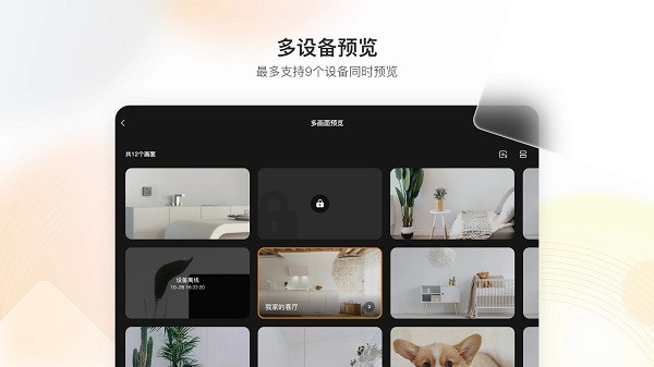 乐橙
